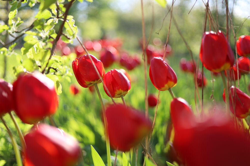 Photograph by Екатерина Каменцева