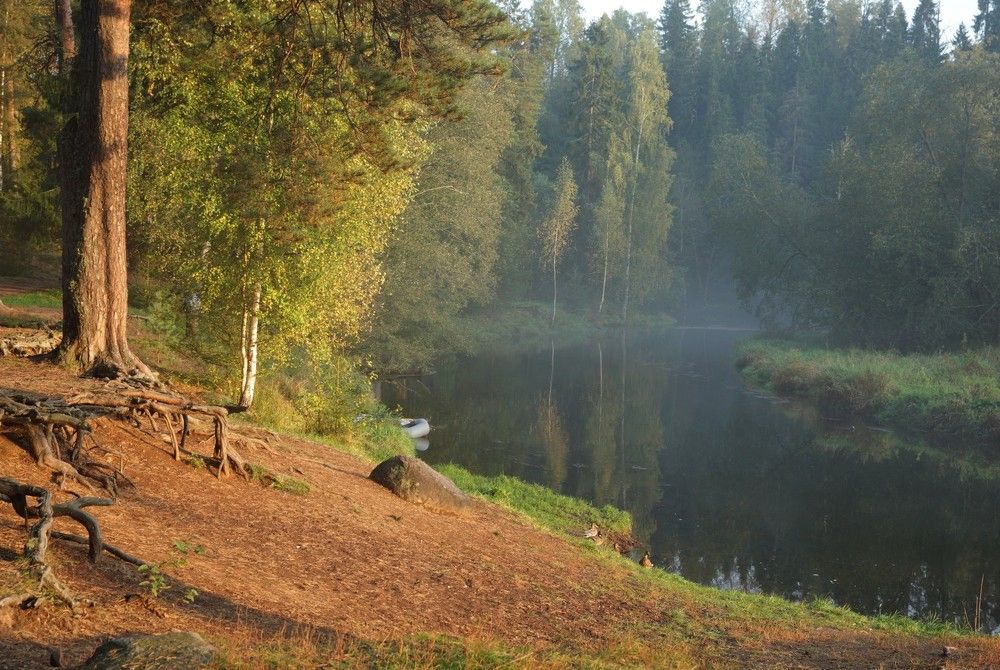 Photograph by Илья Савицкий