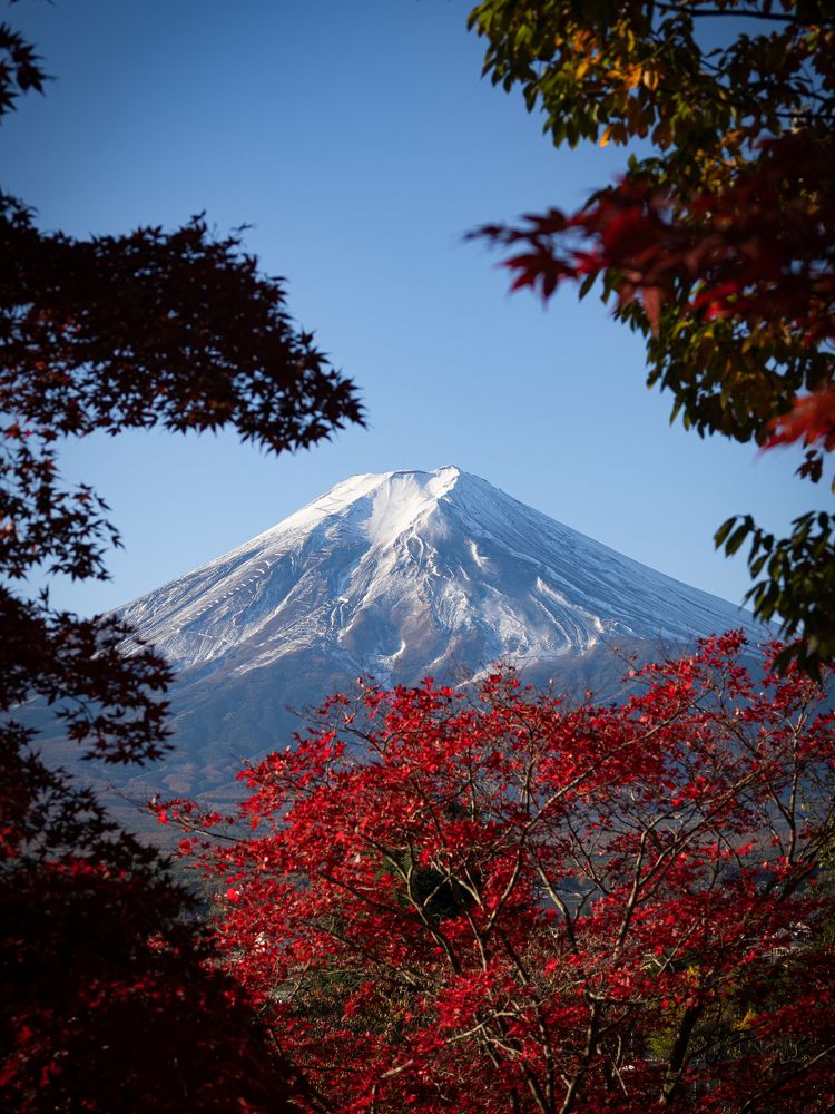 Фотография автора jc tan