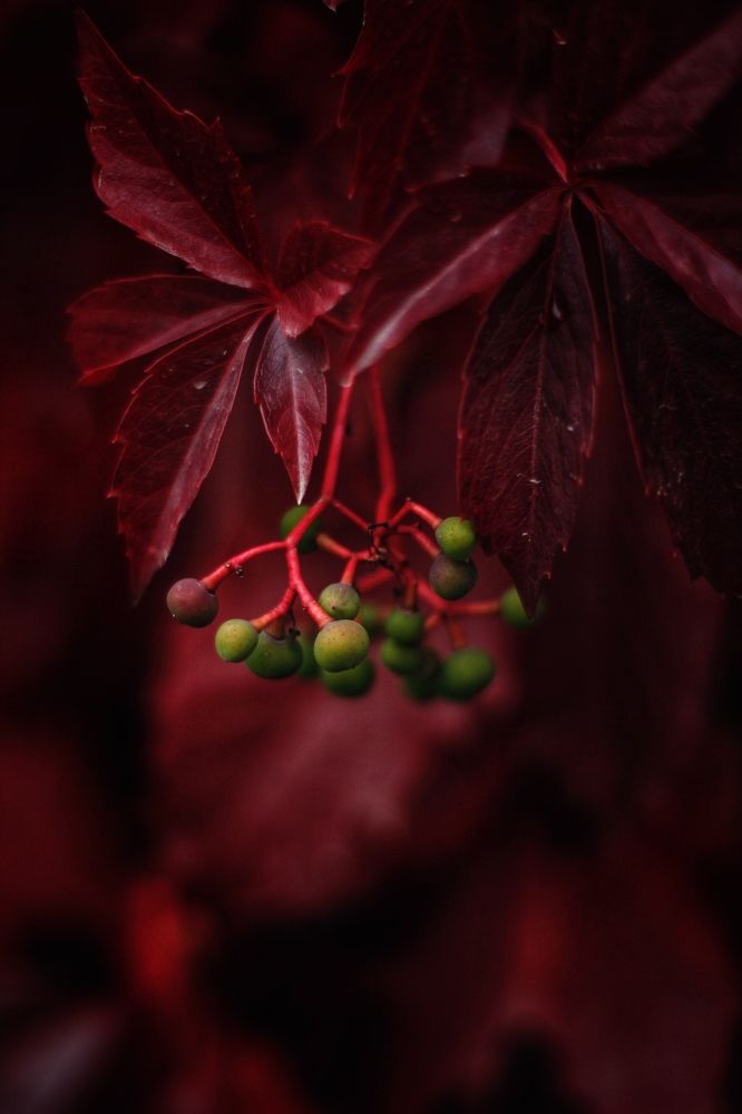 Photograph by Астафьева Анастасия