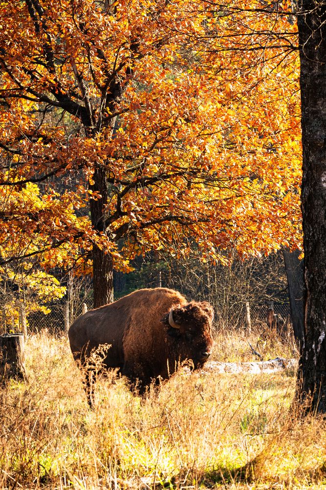Photograph by Ивлев Артем