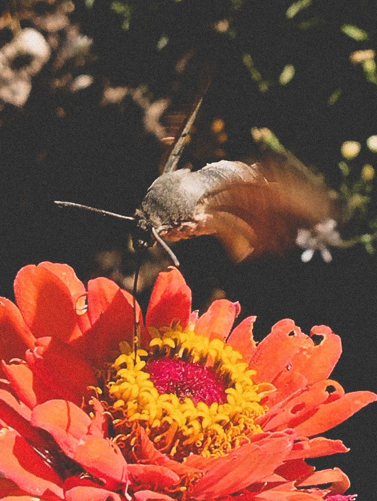 Photograph by Виктория Дудкина