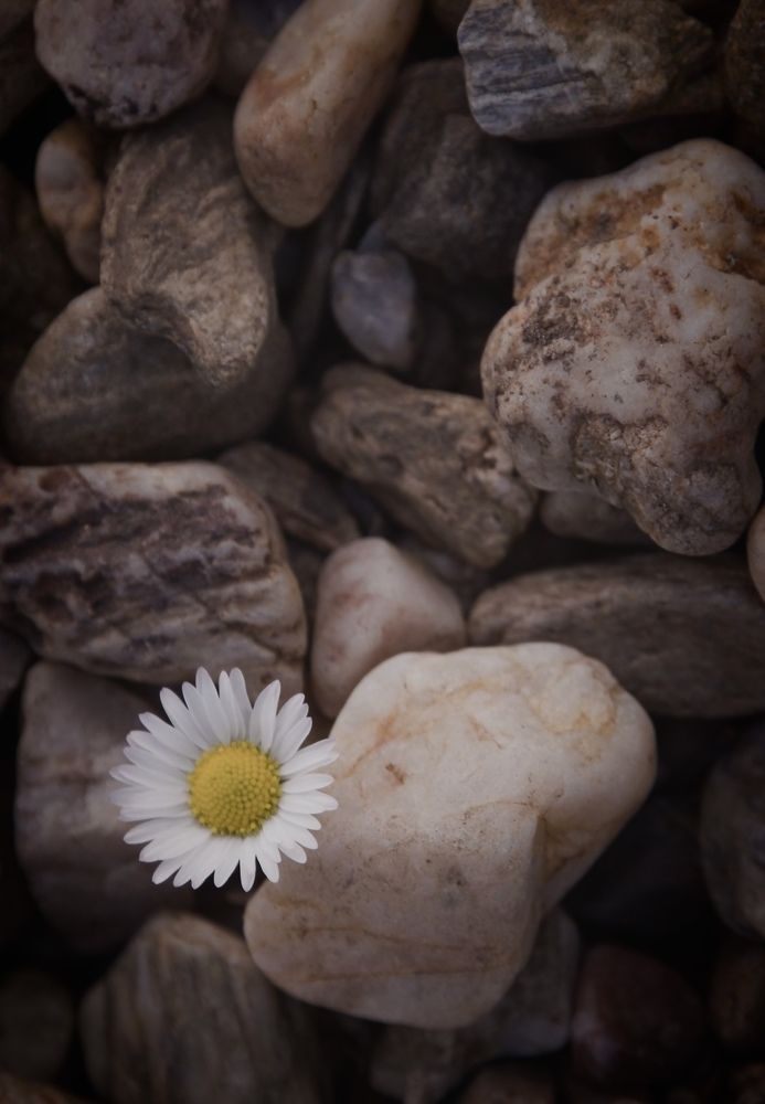 Photograph by Kateřina