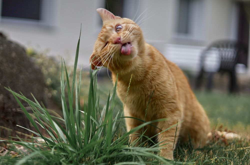 Photograph by Ekaterina Palant