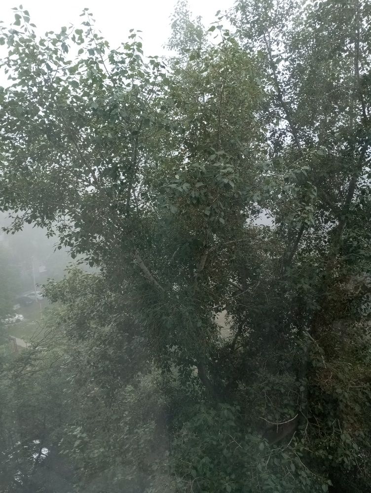 Photograph by Татьяна Кунц