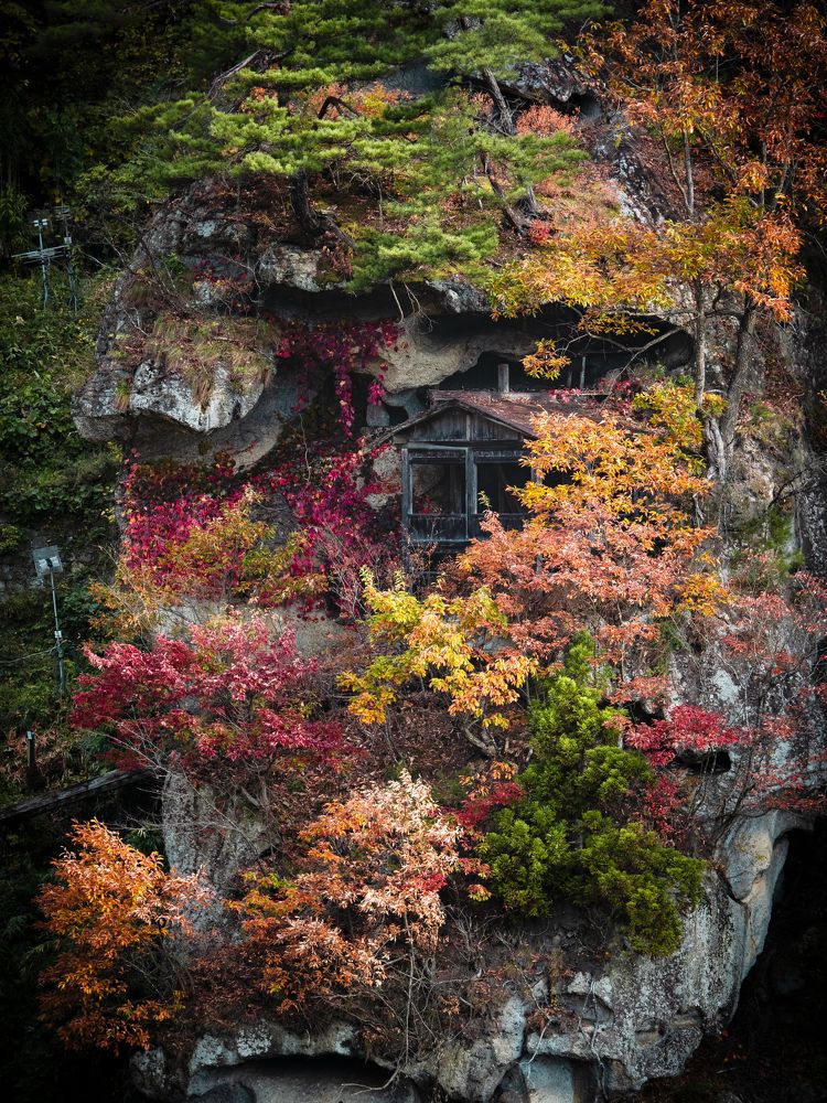 Фотография автора jc tan