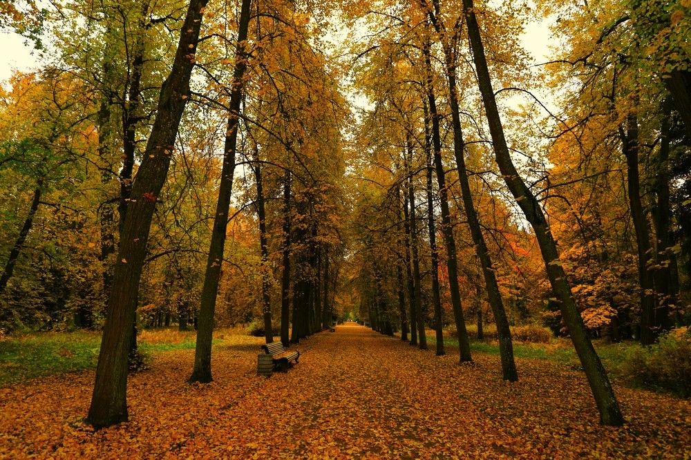 Photograph by Владимир Грибков