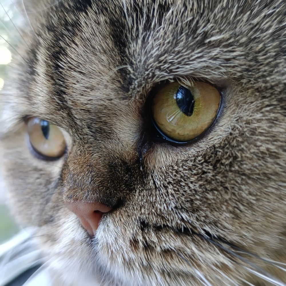 Photograph by Ирина Шведчикова