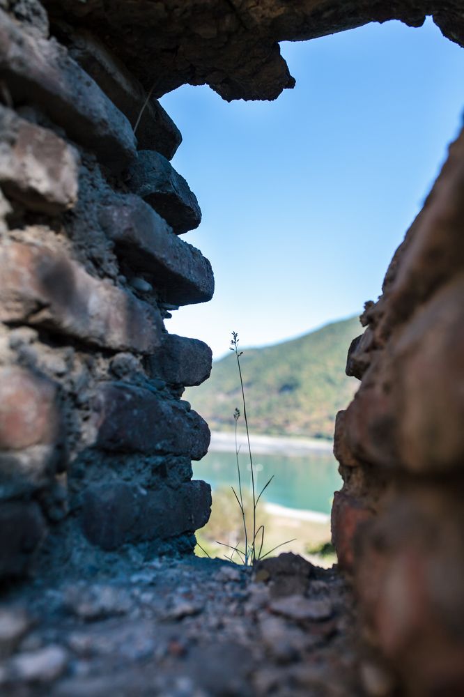 Photograph by Марина Денисова