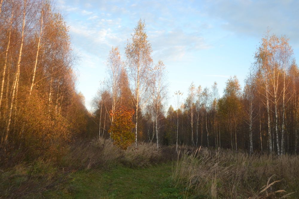 Искры любви