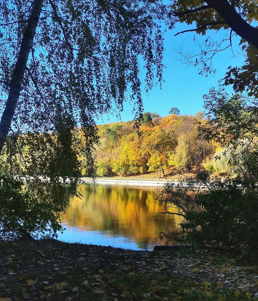 Photograph by Ирина Садовникова