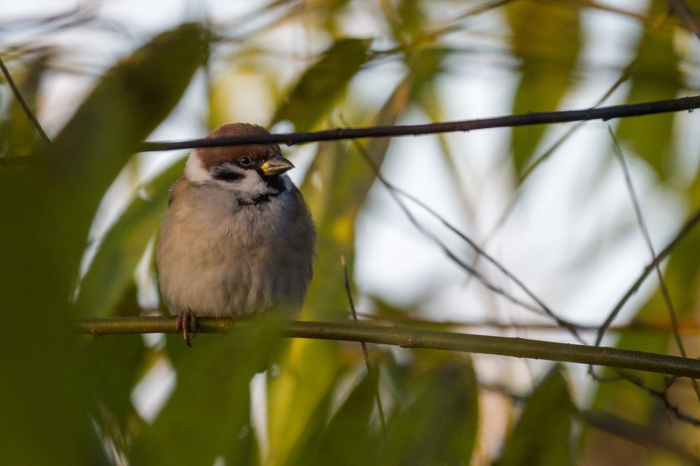 Фотография автора Irina Linina
