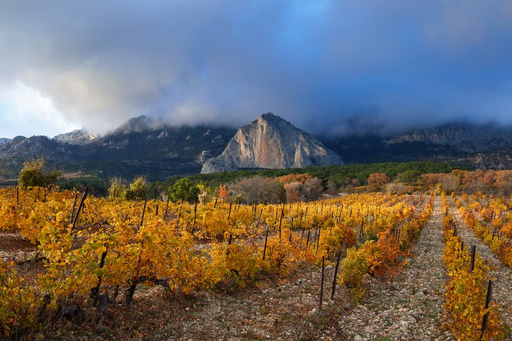 Photograph by Дмитрий Цыпляев