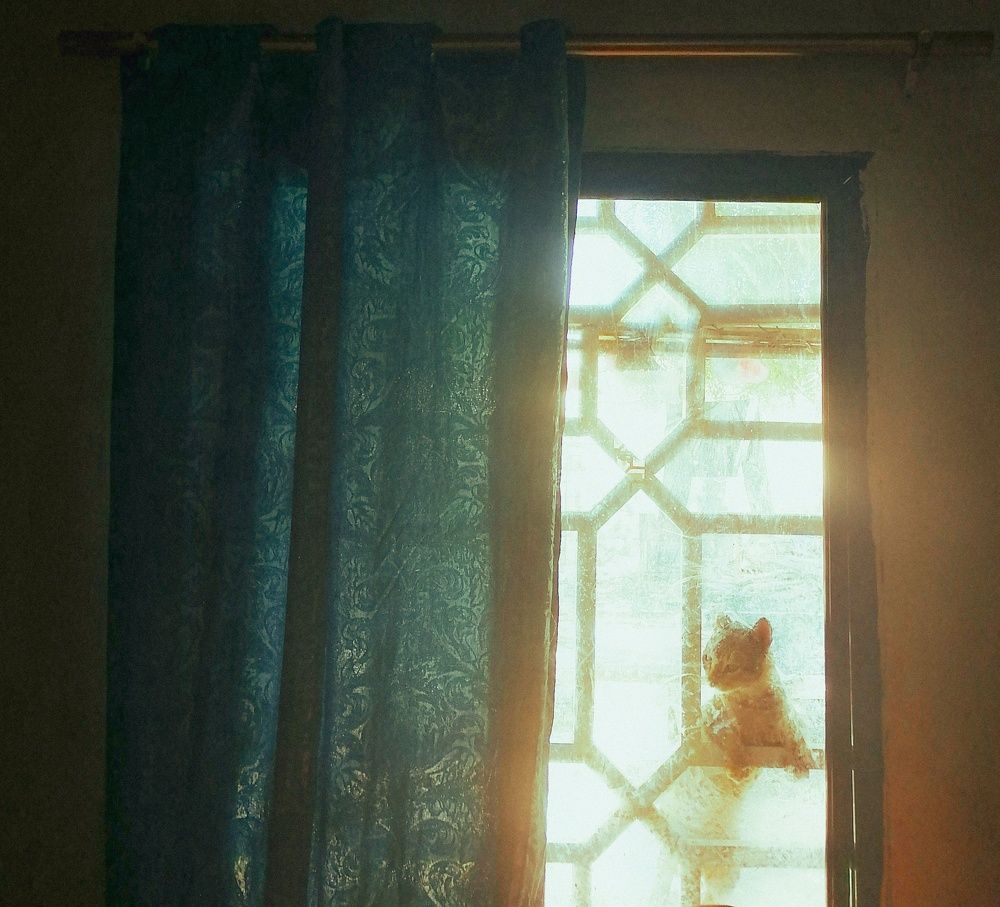 Фотография автора Abhitha