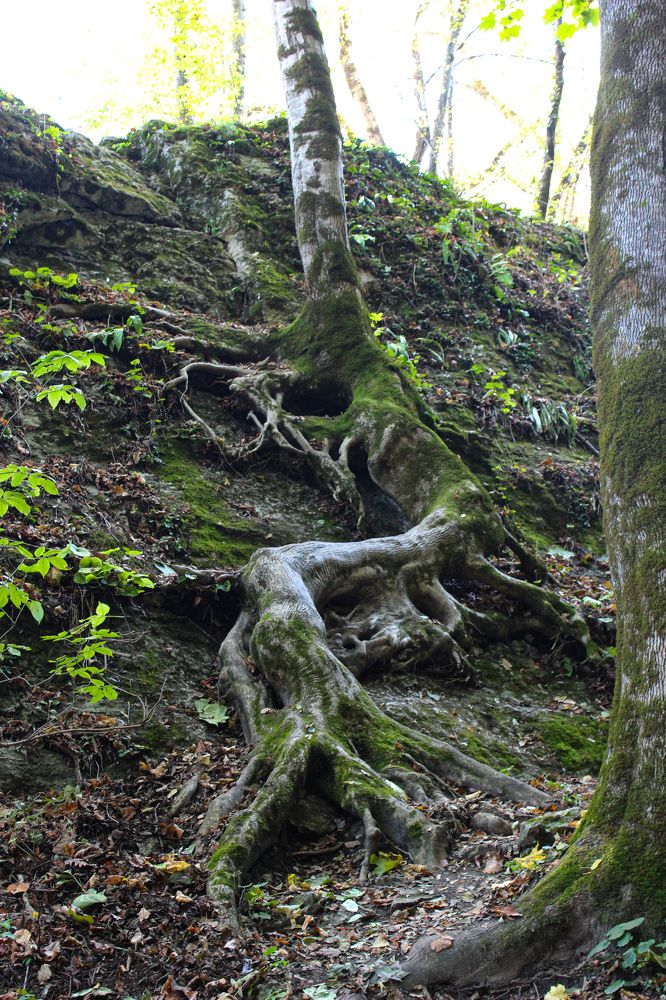 Photograph by Ирина Дмитриенко