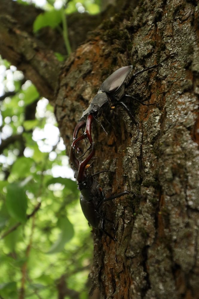 Photograph by Екатерина Каменцева