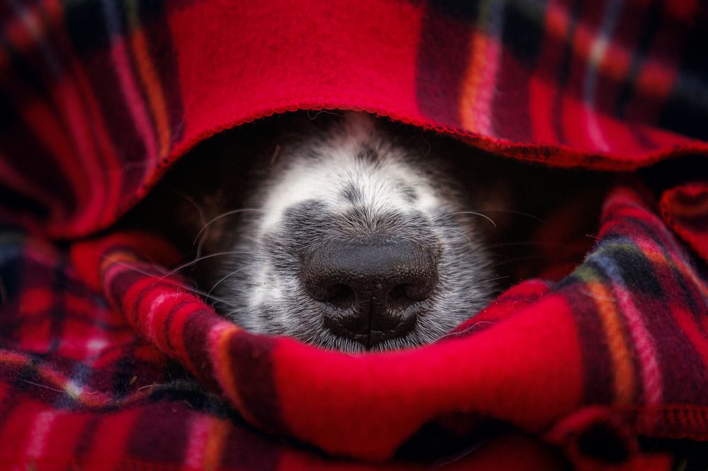 Photograph by Яна Нарбутович