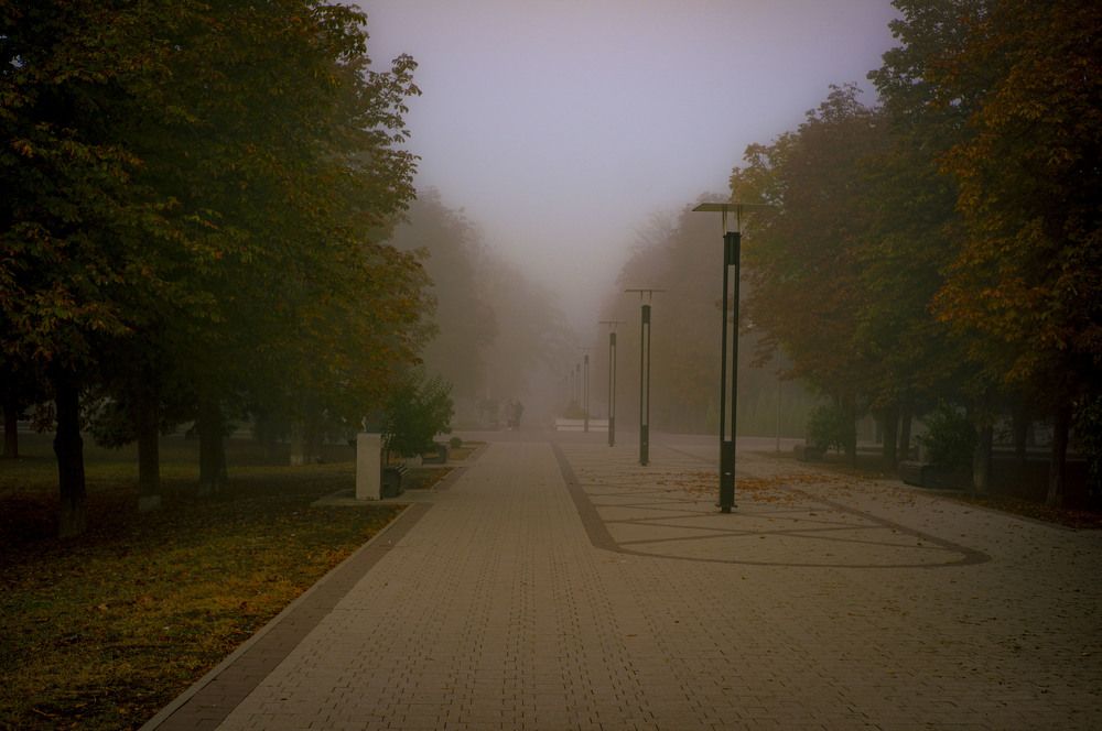 Photograph by Крупченко Роман