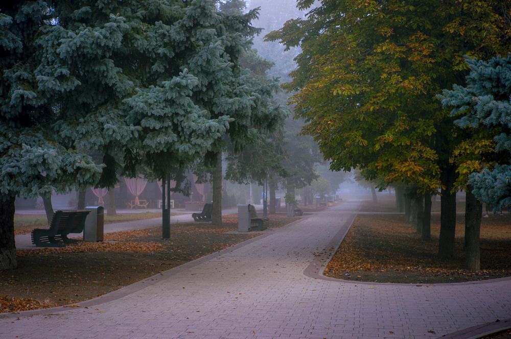 Photograph by Крупченко Роман