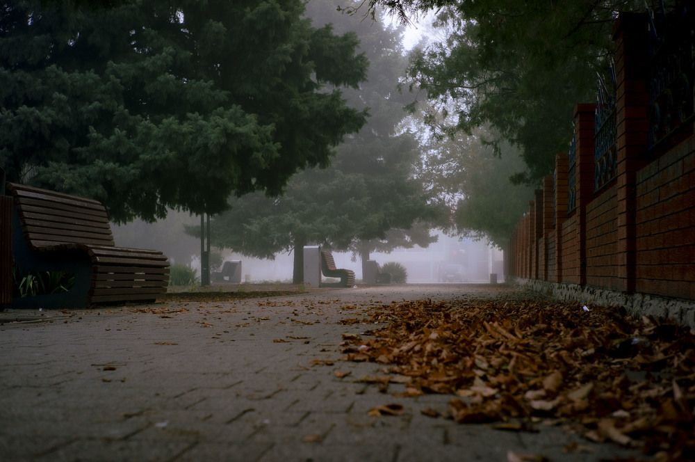 Photograph by Крупченко Роман