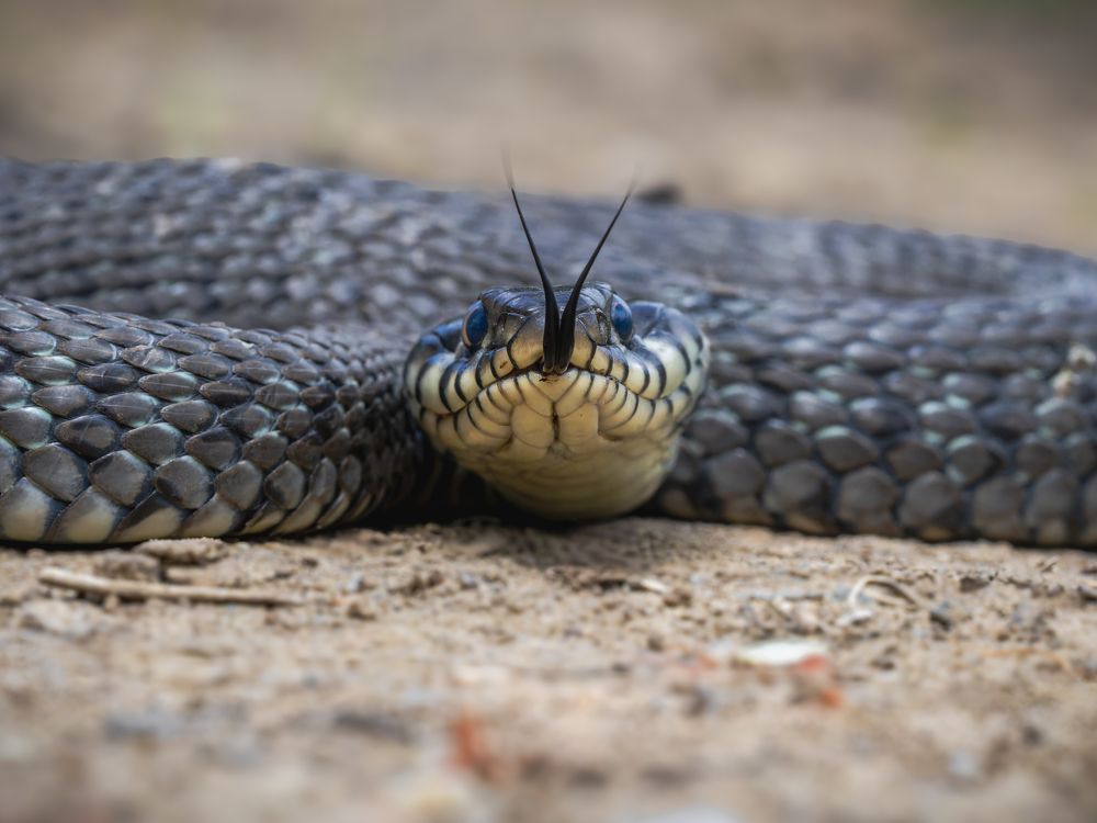 Photograph by George Alexandru Ghiuro