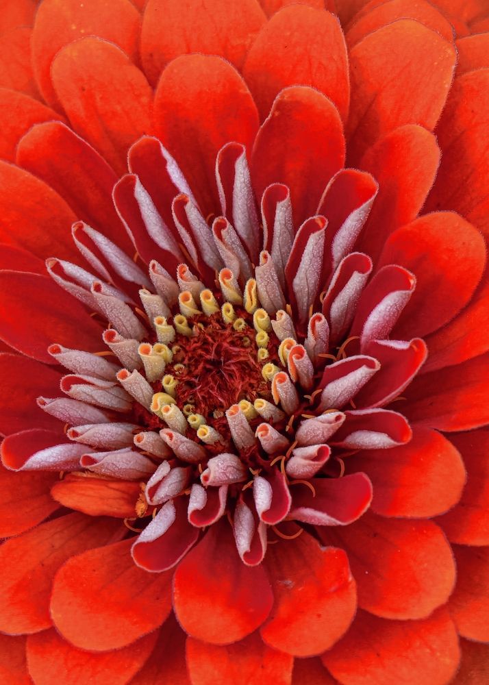 Photograph by Konstantin Martynov