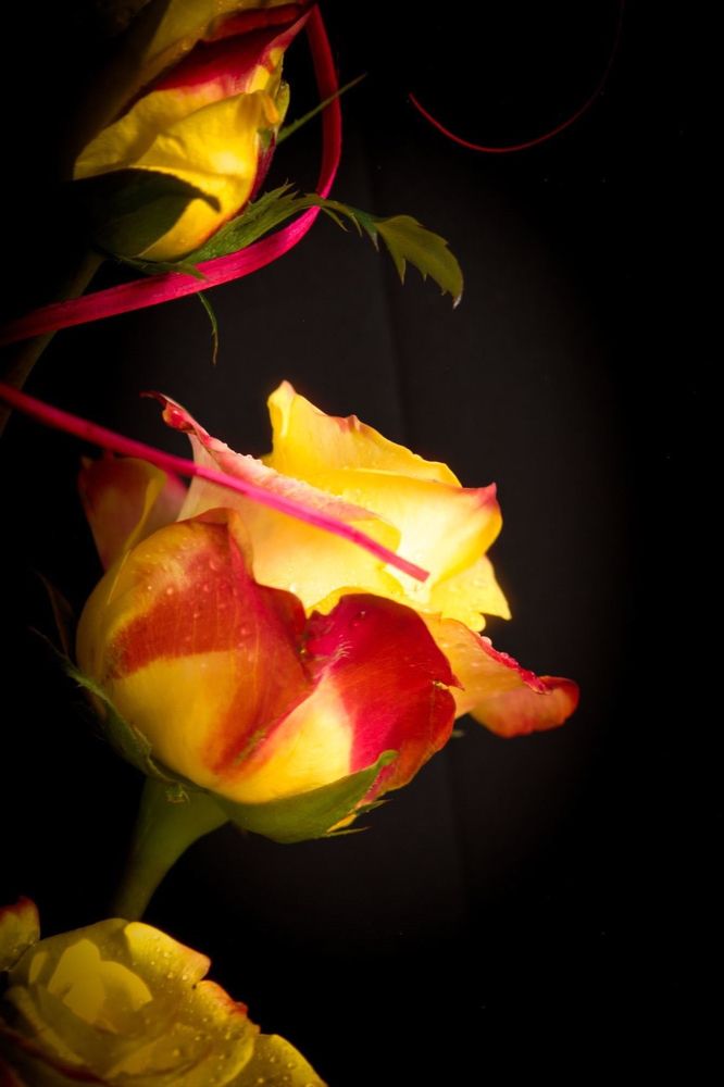 Photograph by Kateřina