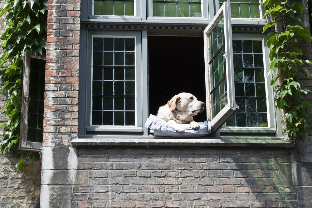 Фотография автора Инна Миронова