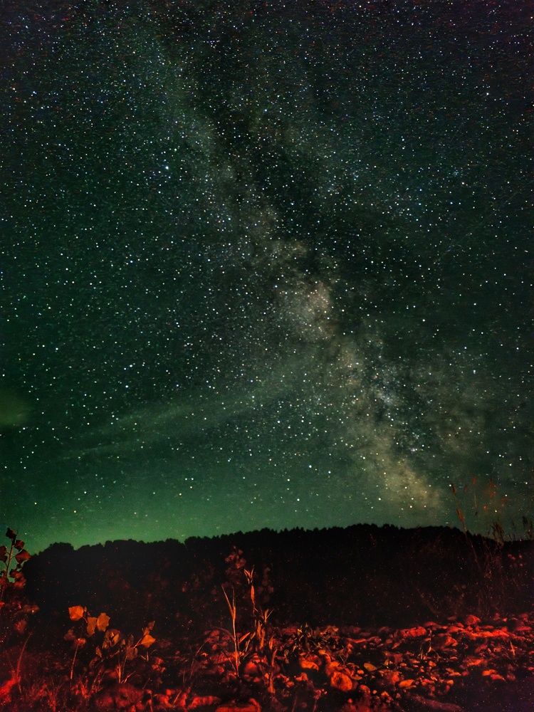 Photograph by Ольга Веселова