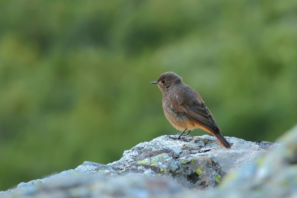 Photograph by Сергей Кравченко