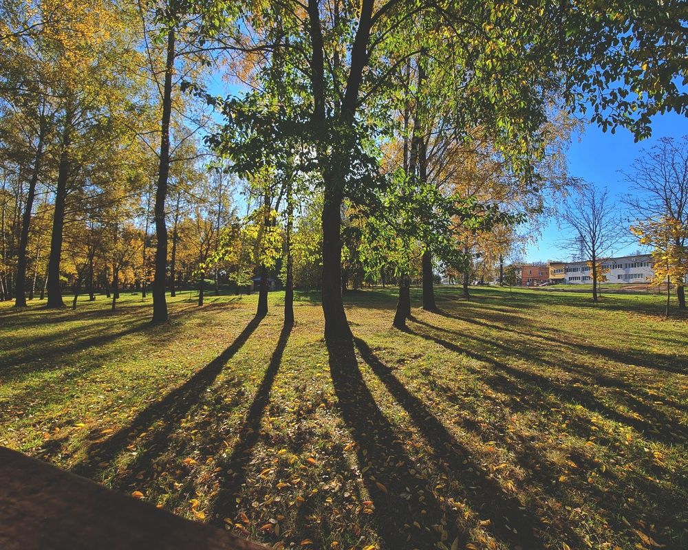 Фотография автора Aliaksandr Kazhdan