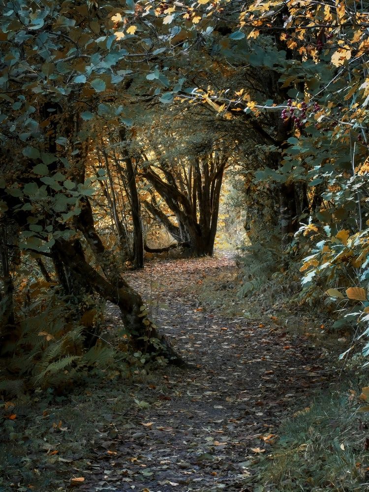 Фотография автора Michael Gault