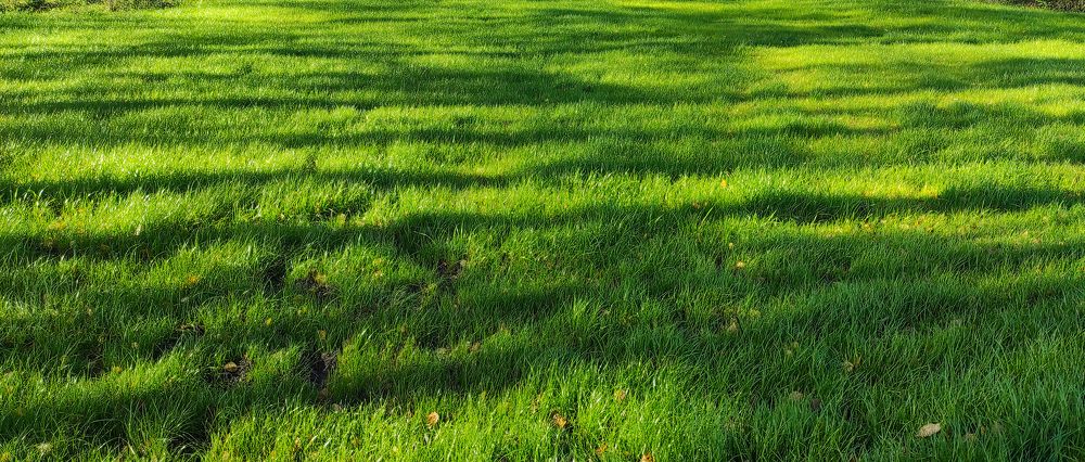 Photograph by Елена Попова