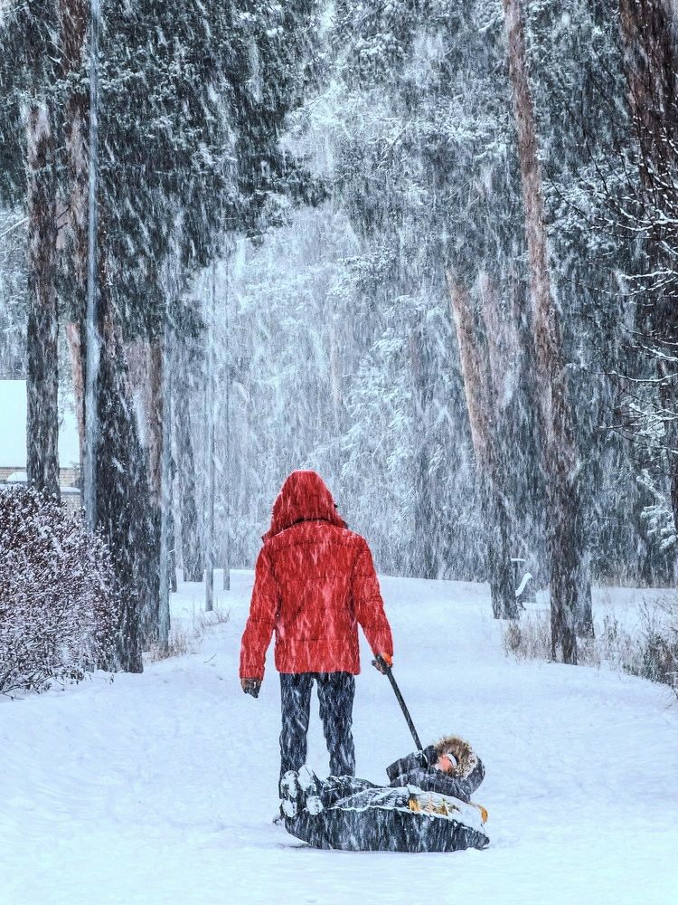 Photograph by Konstantin Martynov