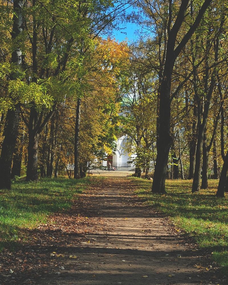 Фотография автора Aliaksandr Kazhdan