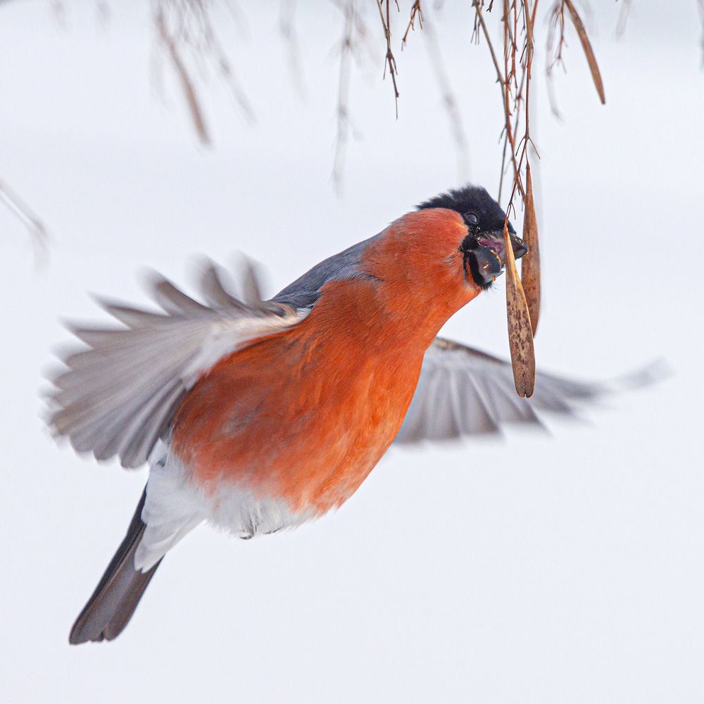 Photograph by Анатолий Макоедов