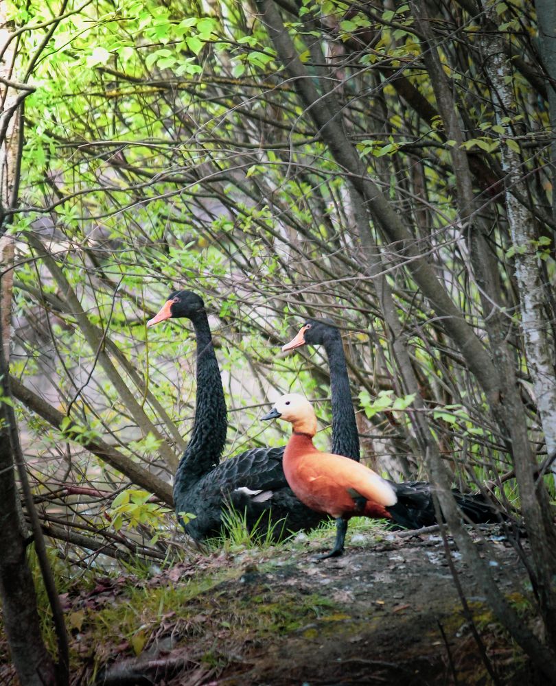Photograph by Dina Garipova