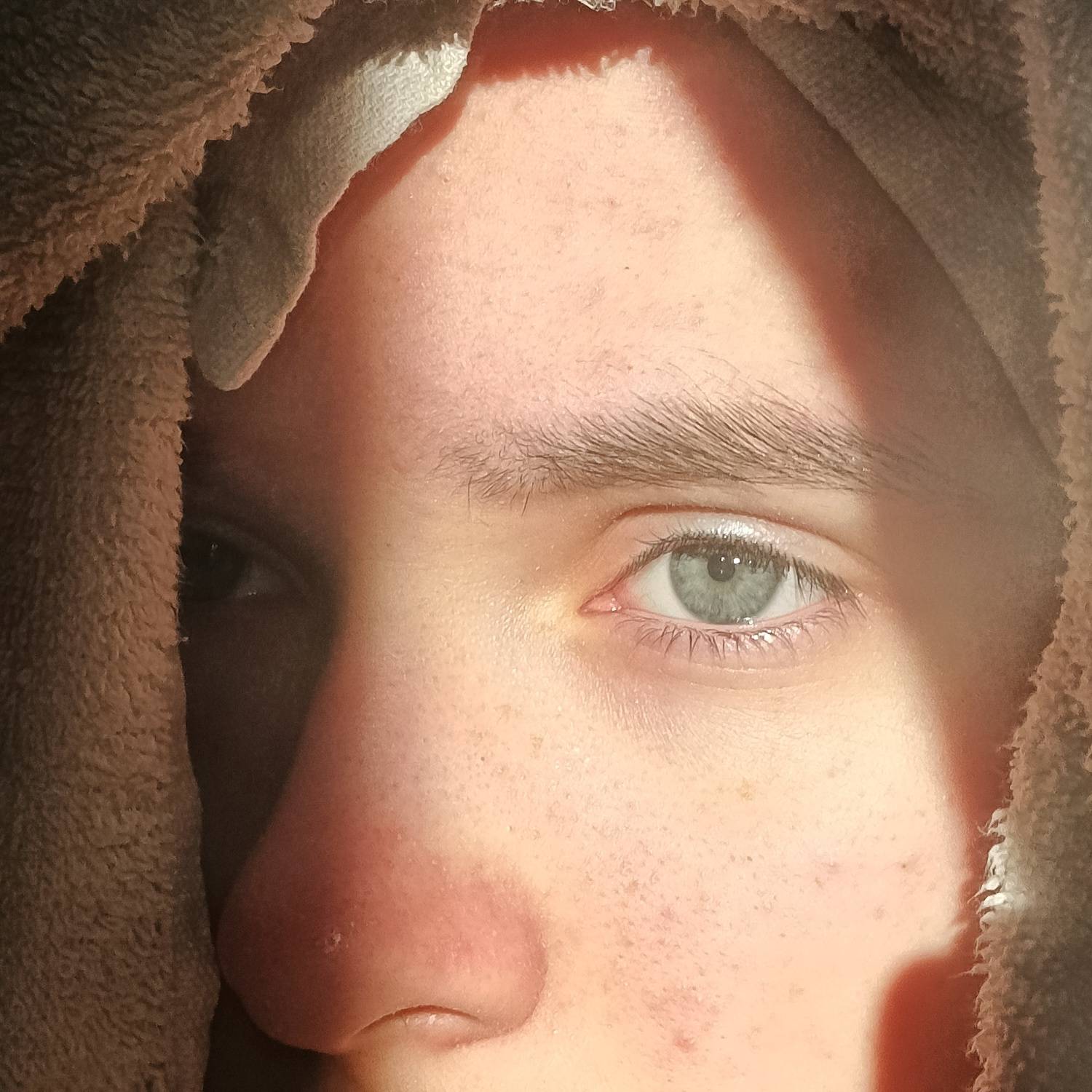 Photo #11205888