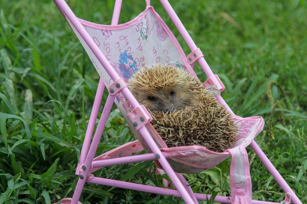 Photograph by Мария Маркина