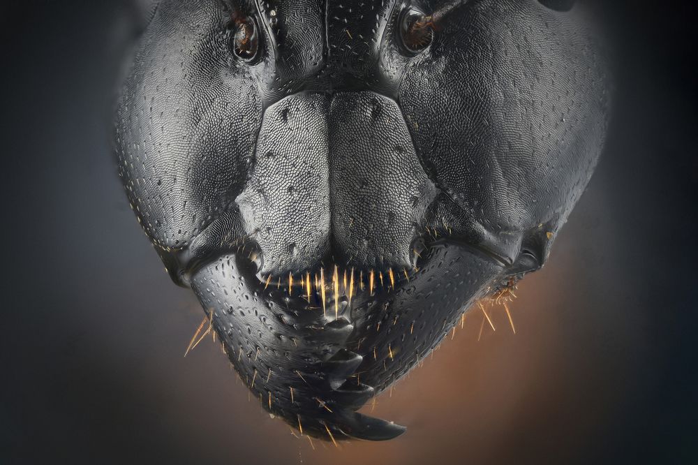 Фотография автора sherif Abdallah