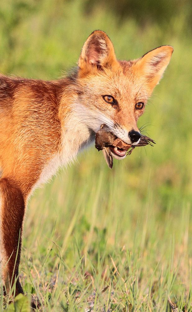 Photograph by Мария Маркина