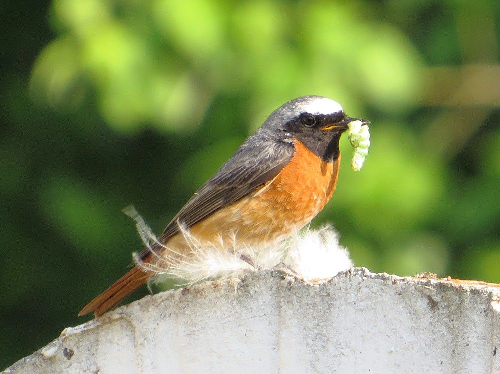 Photograph by Лариса Агеева