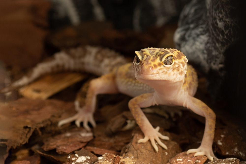 Photograph by Екатерина Каменцева