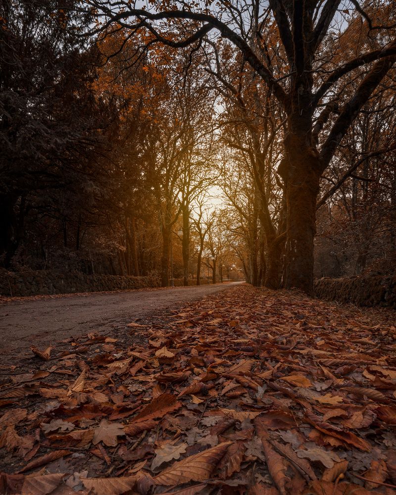 Photograph by Fabrizio Perra