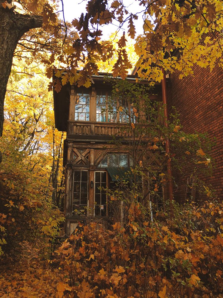 Фотография автора Олеся Непомнящих