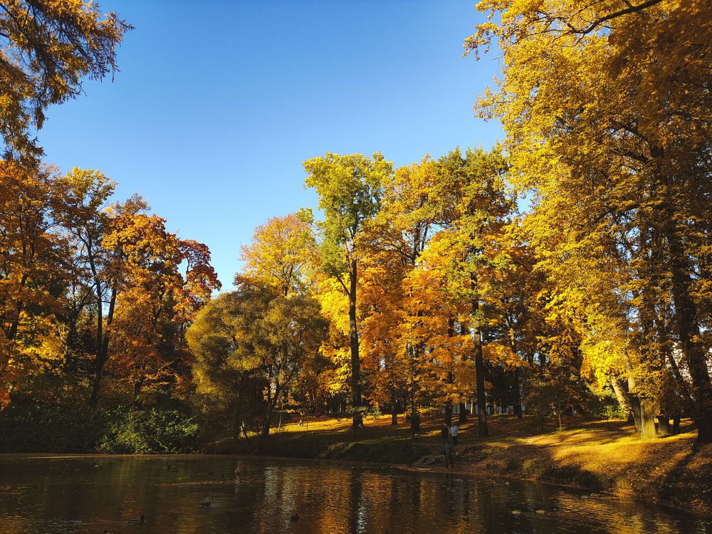Фотография автора Олеся Непомнящих