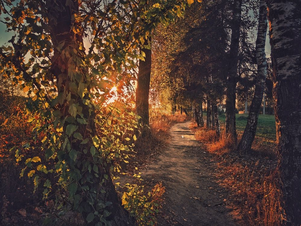 Photograph by Ekaterina Fadeeva