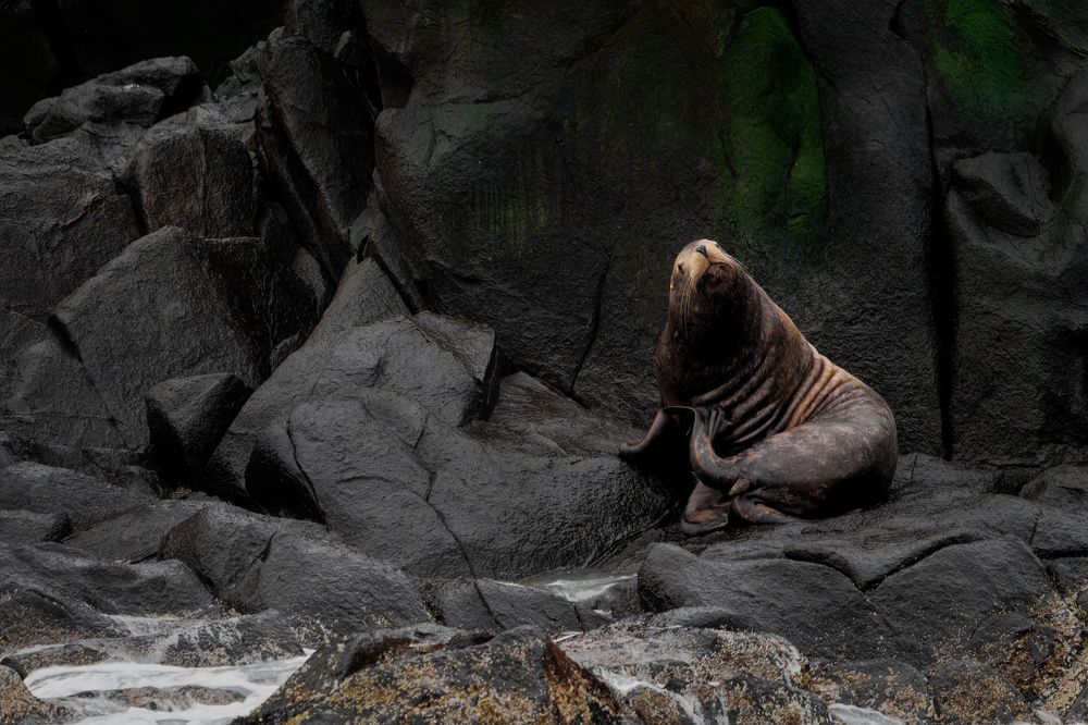 Photograph by Pavel Ivshin