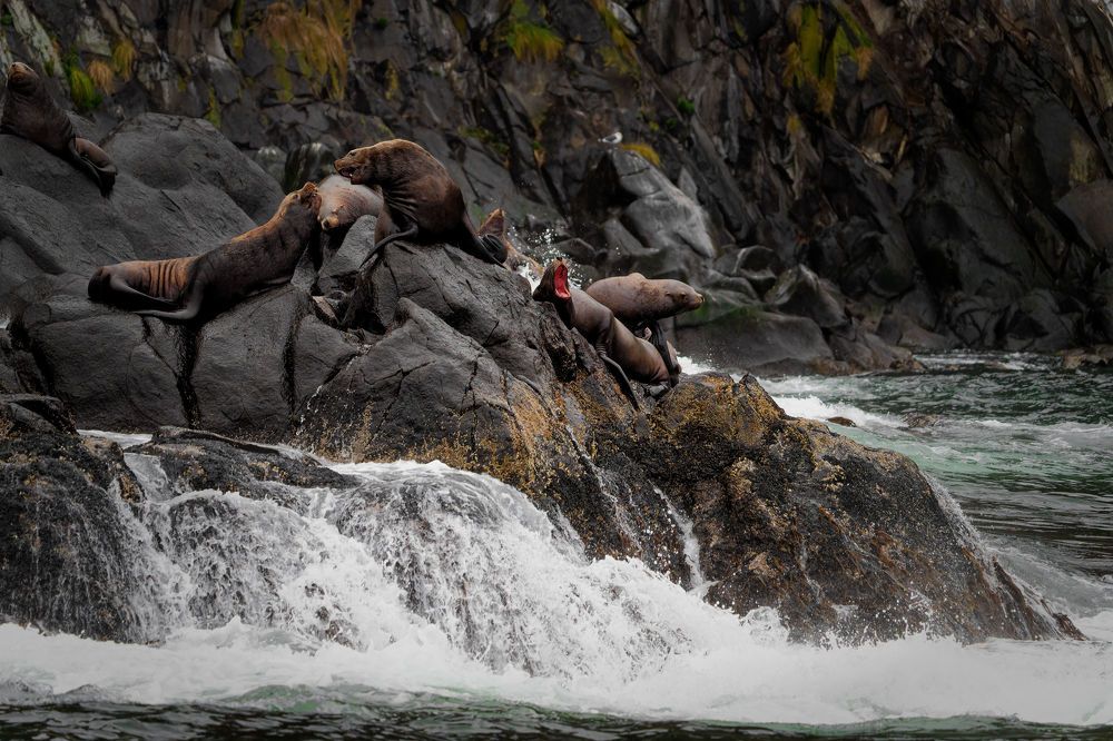 Photograph by Pavel Ivshin