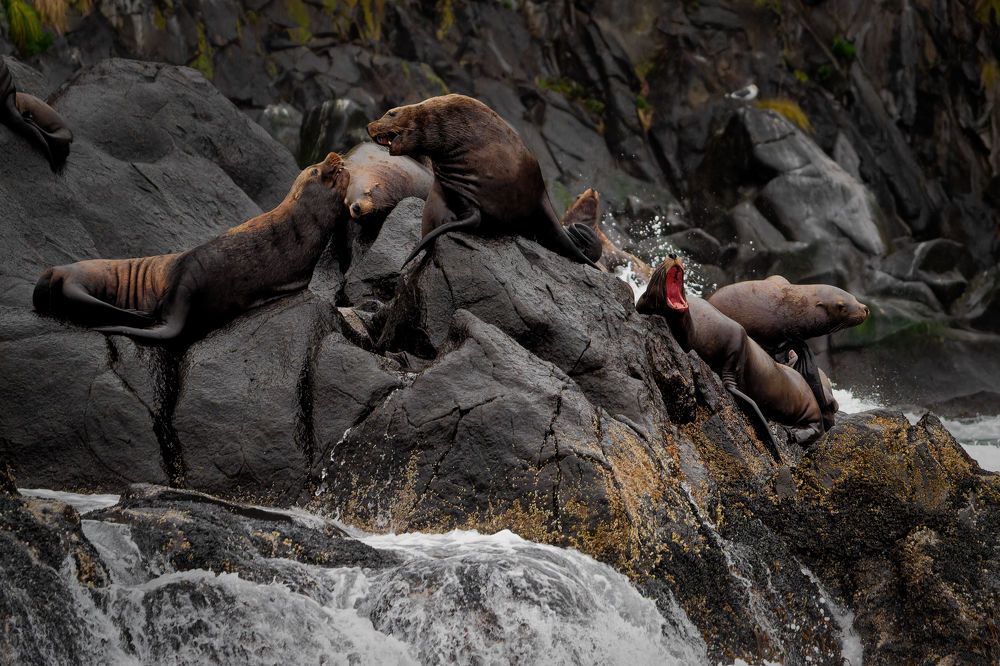 Photograph by Pavel Ivshin